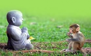 Hành giả tu hành quá nhiều tập khí làm sao dứt trừ?